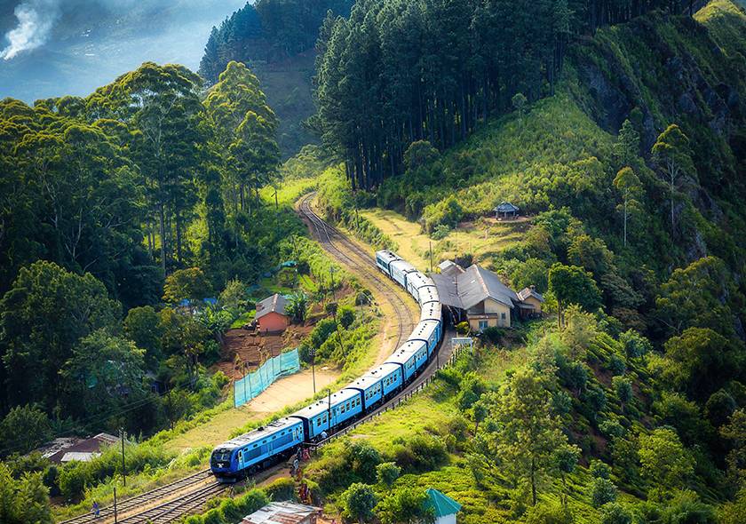 oOty